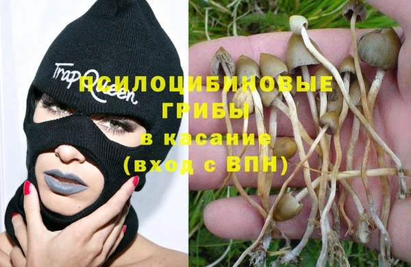 PSILOCYBIN Баксан
