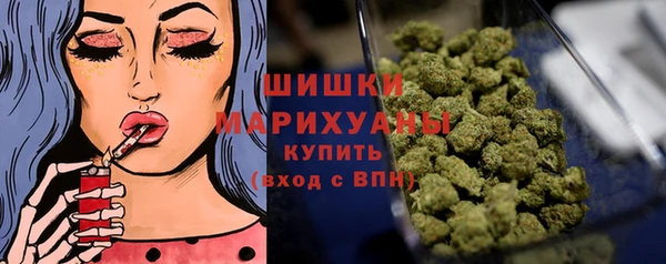ПСИЛОЦИБИНОВЫЕ ГРИБЫ Балахна