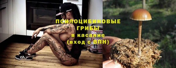 а пвп мука Балабаново