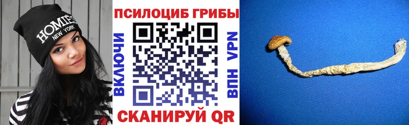 Псилоцибиновые грибы Magic Shrooms  mega ТОР  Володарск 