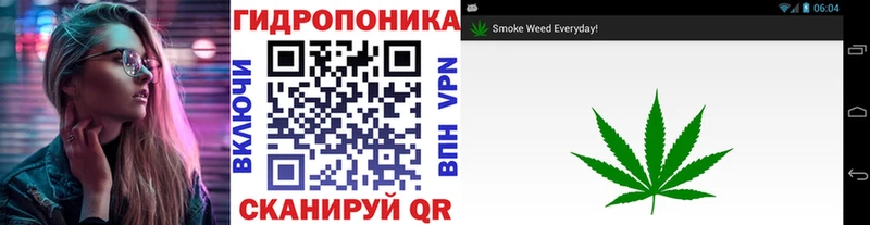 Конопля индика Володарск